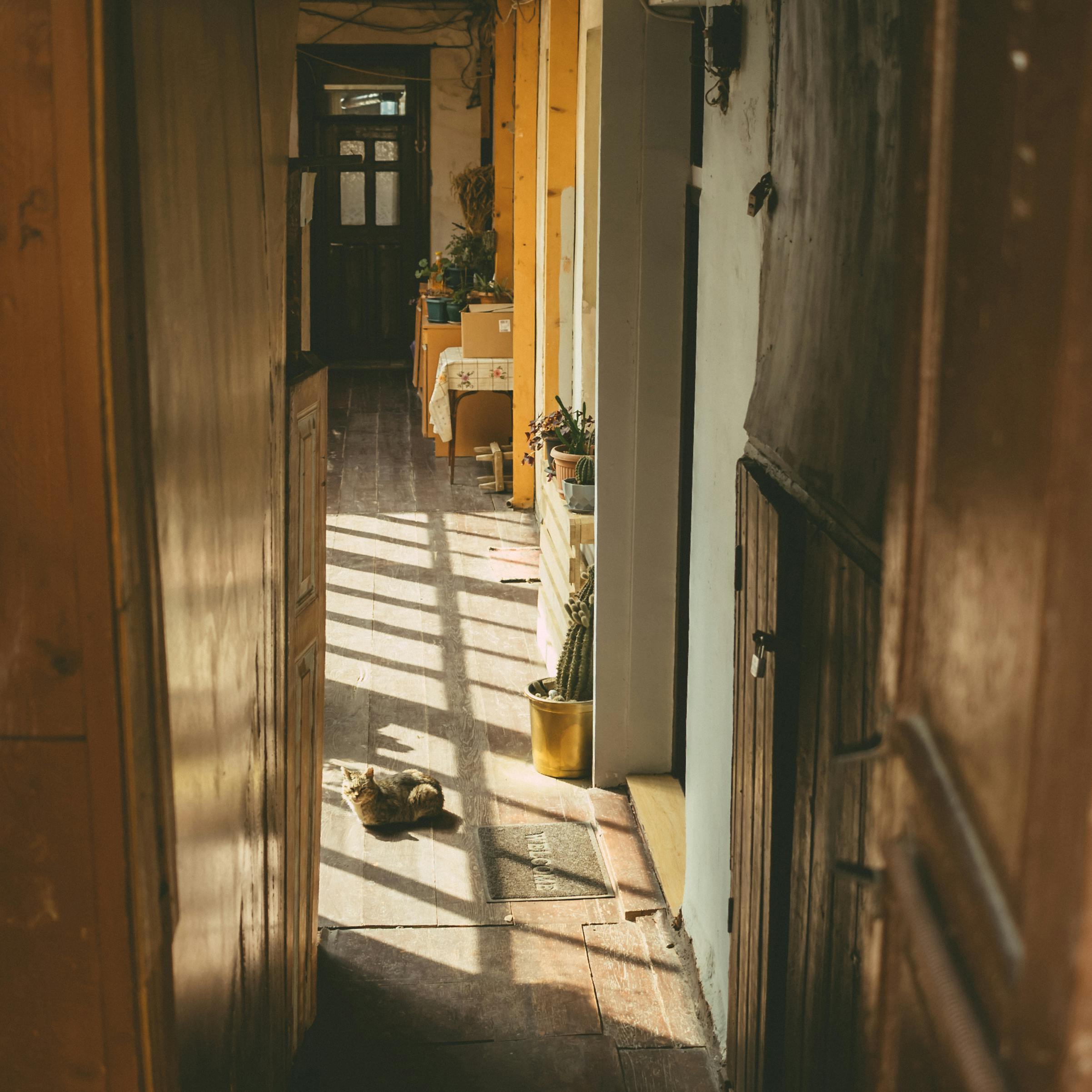 copy-is-your-brand-foundation