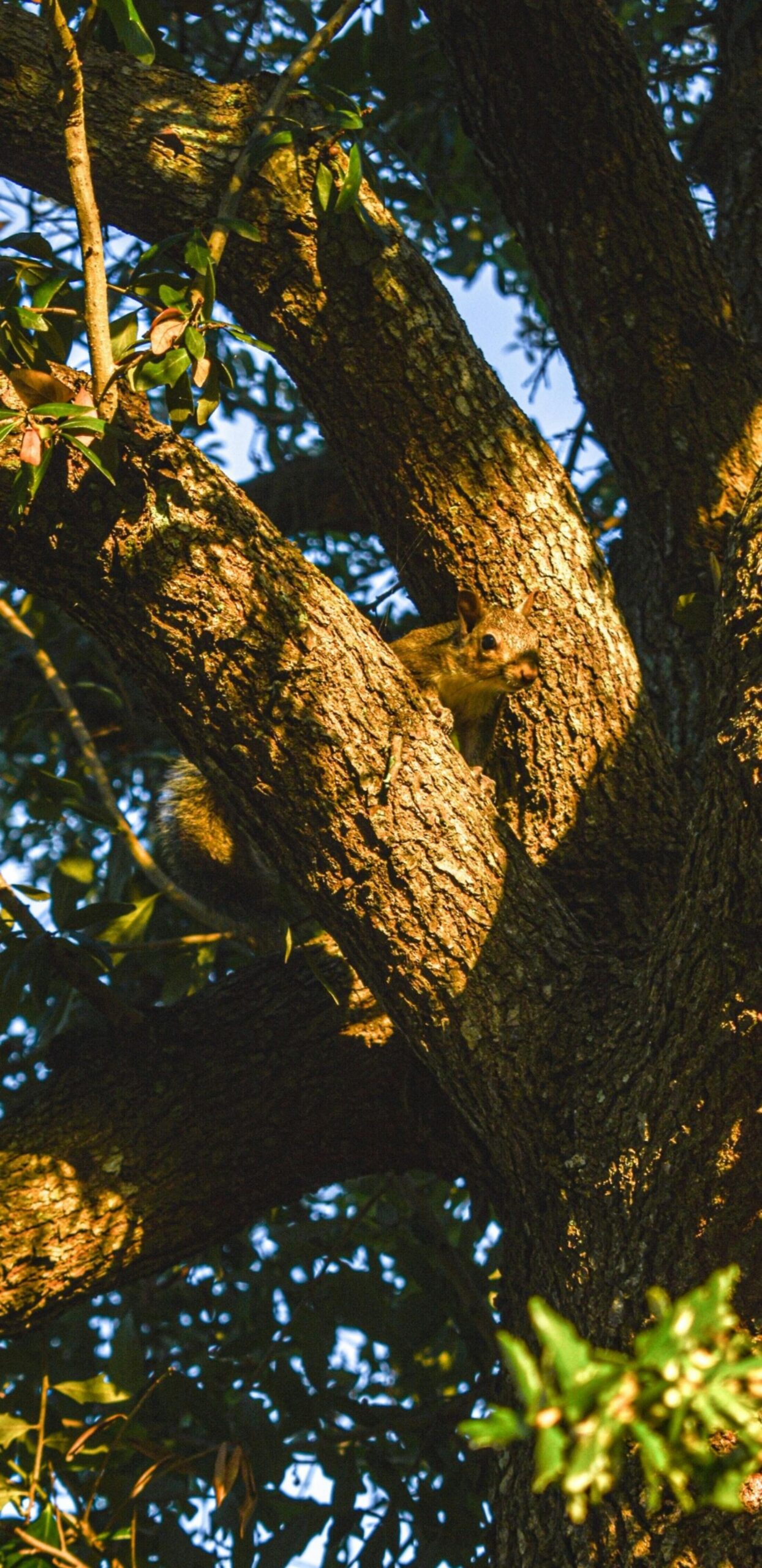 how-to-market-holistically-without-ai