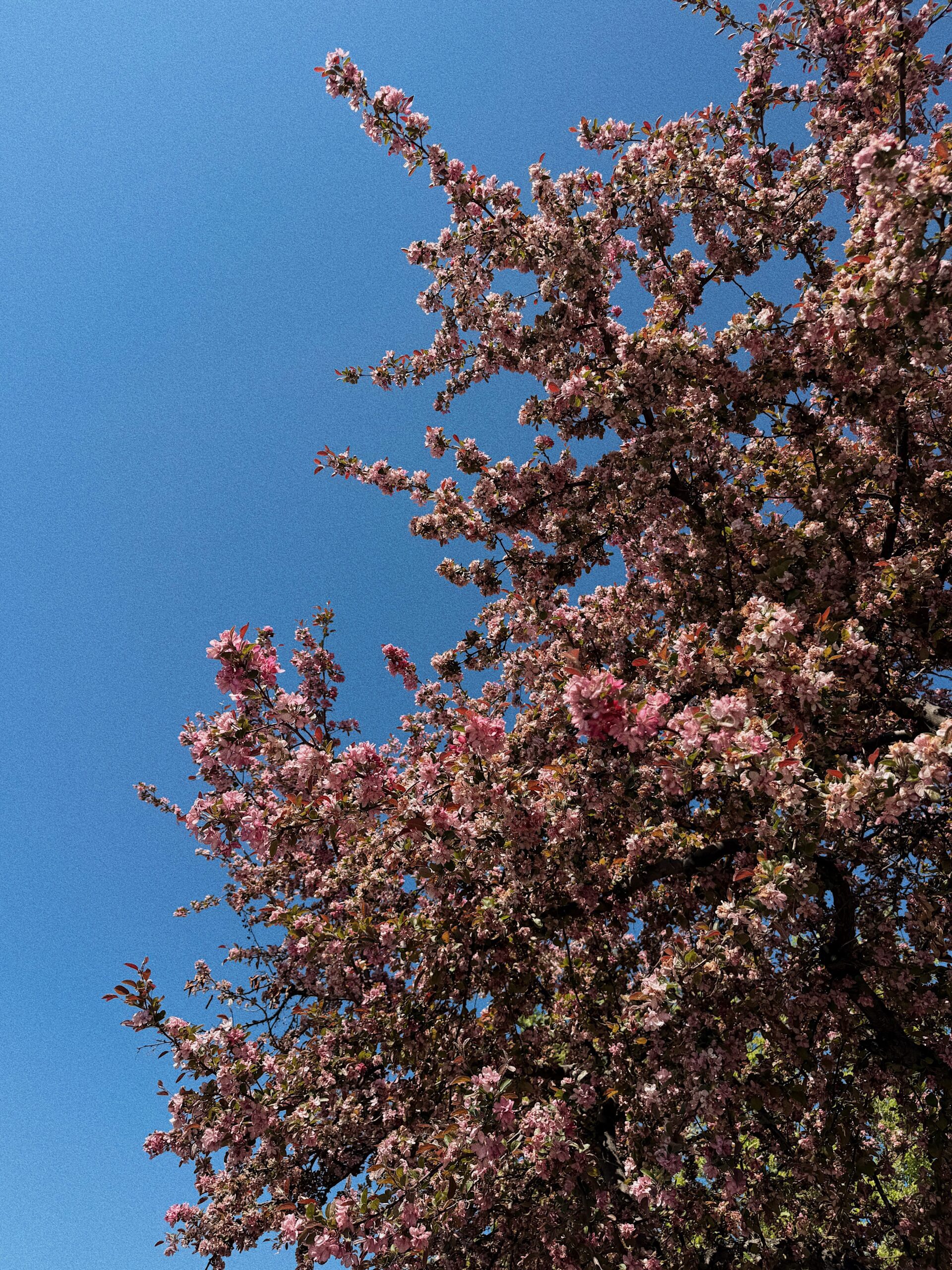 studio-tell-spring-marketing-life