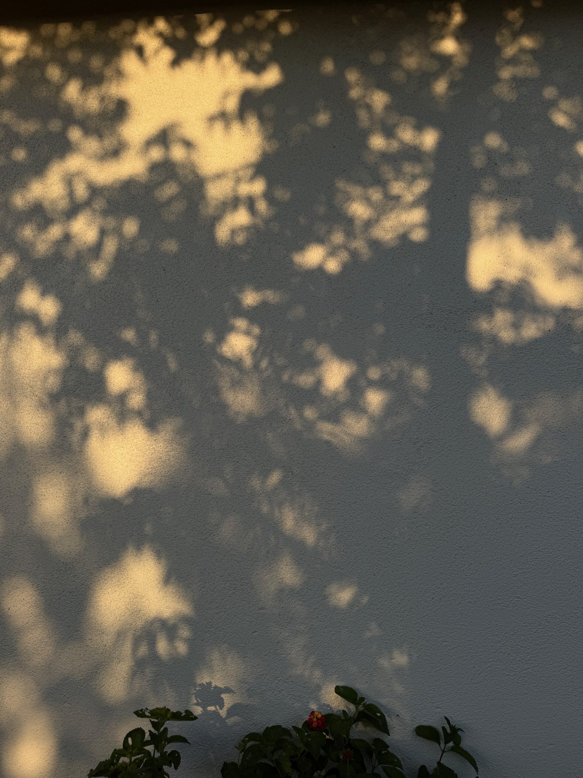 finding-beauty-as-a-creative
